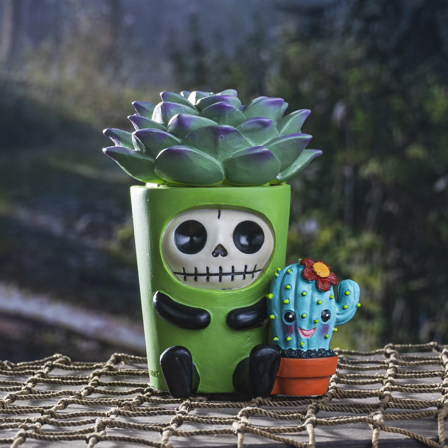 ^ FURRYBONES-ECHY, C/60 MINIMUM OF 4