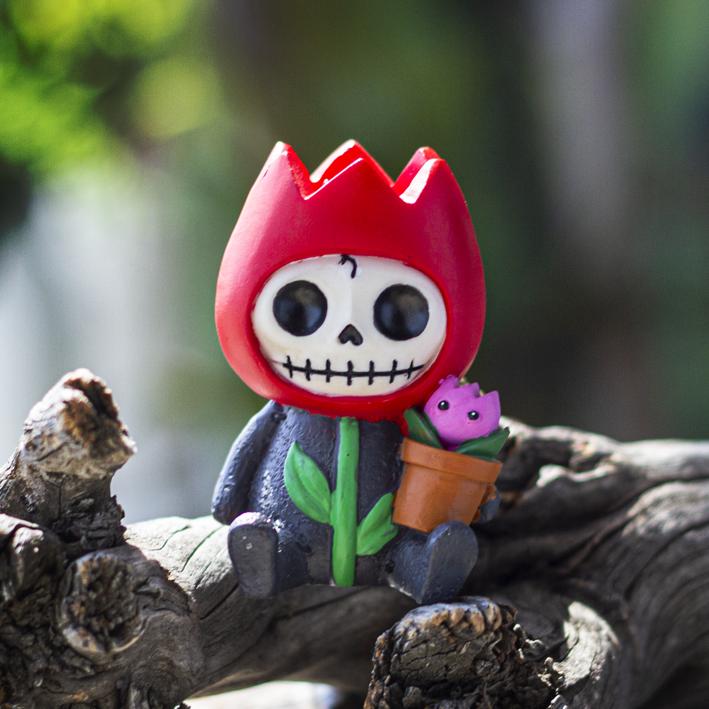 FURRYBONES-TULLY C/60 MINIMUM OF 4