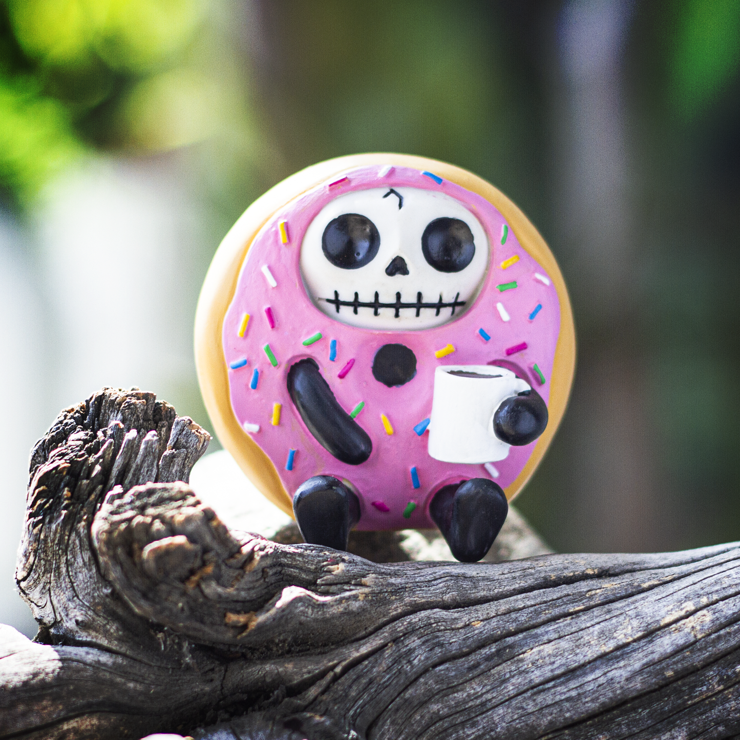 FURRYBONES-DONATSU C/60 MINIMUM OF 4