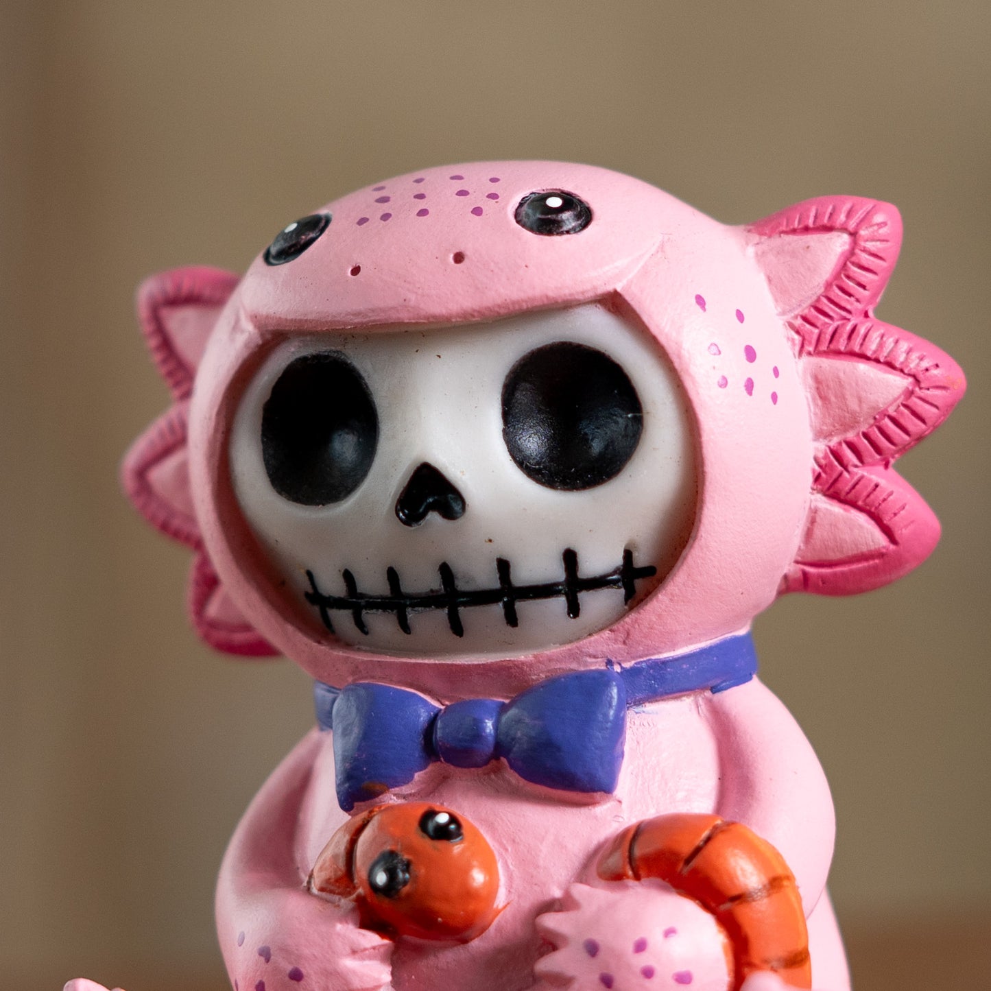 FURRYBONES-LOTI C/60 MINIMUM OF 4